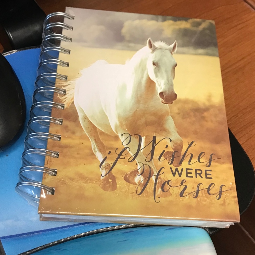 Bella Bug 5x7" Journal 250 Pages Wire Bound Wild Horses